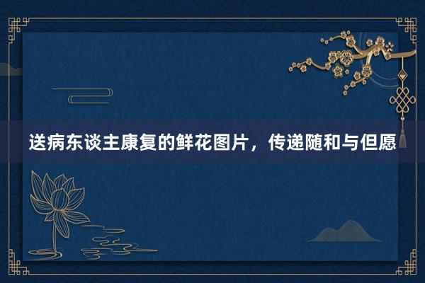 送病东谈主康复的鲜花图片，传递随和与但愿