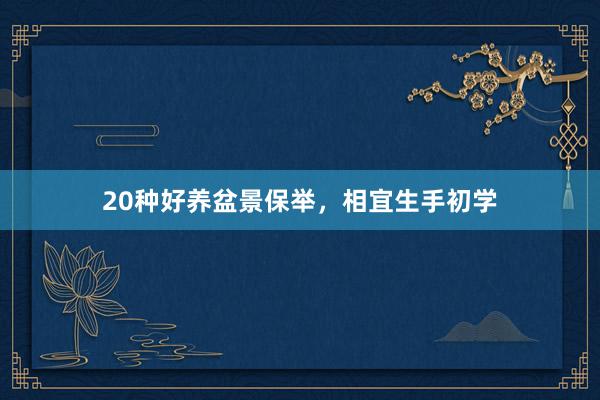 20种好养盆景保举，相宜生手初学
