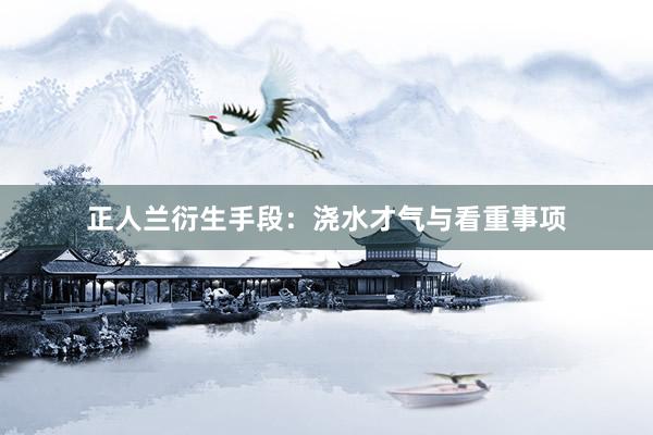 正人兰衍生手段：浇水才气与看重事项